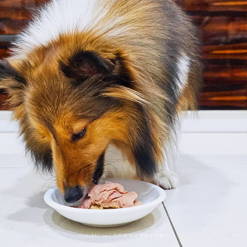 女人知己試用大隊,口碑行銷,部落客行銷,自然食 成長機能主食餐包,自然食,成長機能狗狗主食餐包,成長機能貓咪主食餐包,滿足毛孩最單純的幸福,人食等級食材,開封即食,綿密的肉泥狀質地,好吸收,無膠類,無色素,無防腐劑的添,維持腸道健康,添加DHA/靈芝多醣體,使用高優質蛋白,適口性佳,狗狗口味,犬用營養火雞,犬用嫩雞牛肉,貓咪口味,貓用營養嫩雞,貓用嫩雞鮪魚